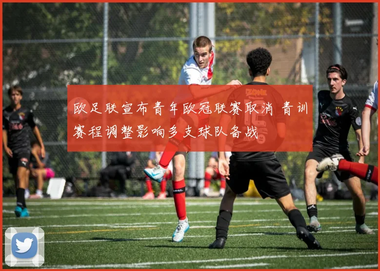 欧足联宣布青年欧冠联赛取消 青训赛程调整影响多支球队备战