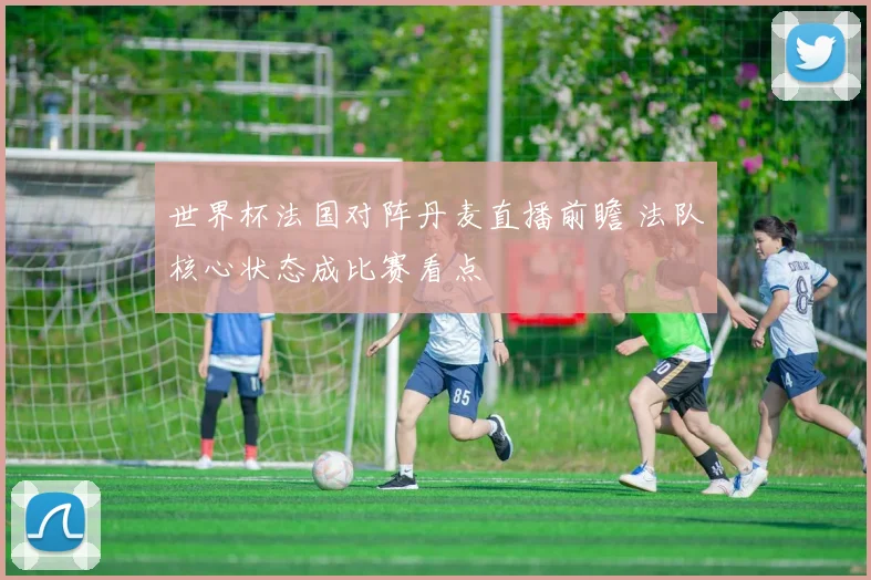 世界杯法国对阵丹麦直播前瞻 法队核心状态成比赛看点