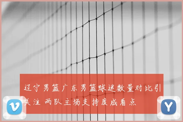 辽宁男篮广东男篮球迷数量对比引关注 两队主场支持度成看点