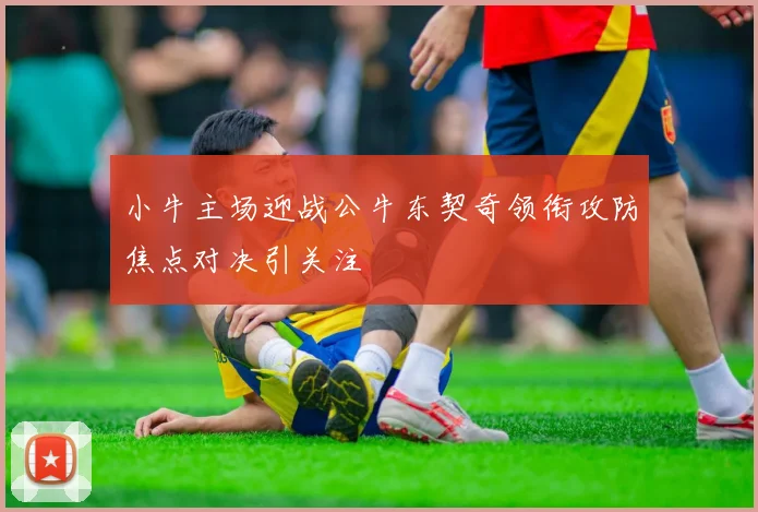 小牛主场迎战公牛东契奇领衔攻防焦点对决引关注