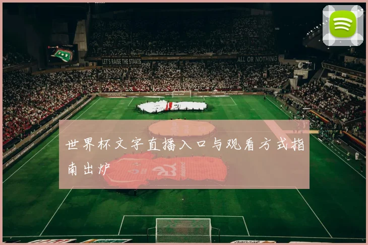 世界杯文字直播入口与观看方式指南出炉