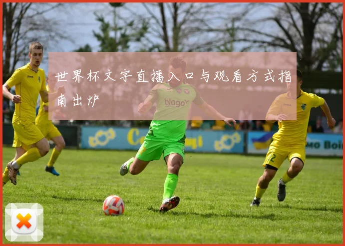 世界杯文字直播入口与观看方式指南出炉