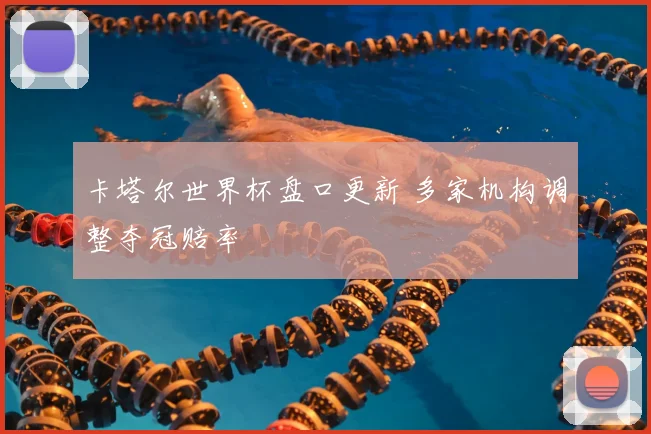 卡塔尔世界杯盘口更新 多家机构调整夺冠赔率