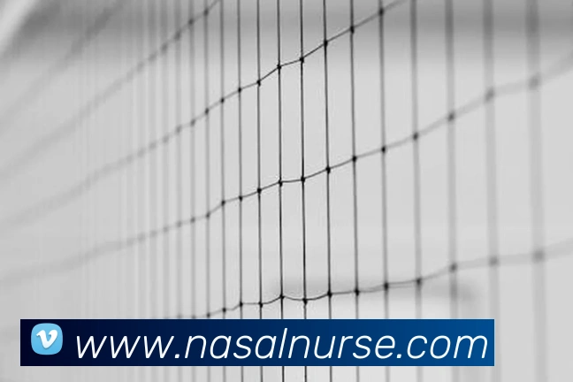 App Interface Preview